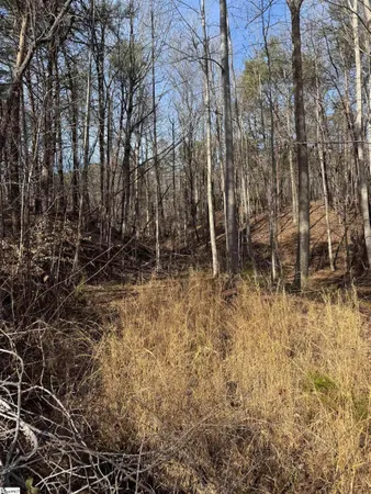 $251,100 | Butter Street, Landrum, SC 29356