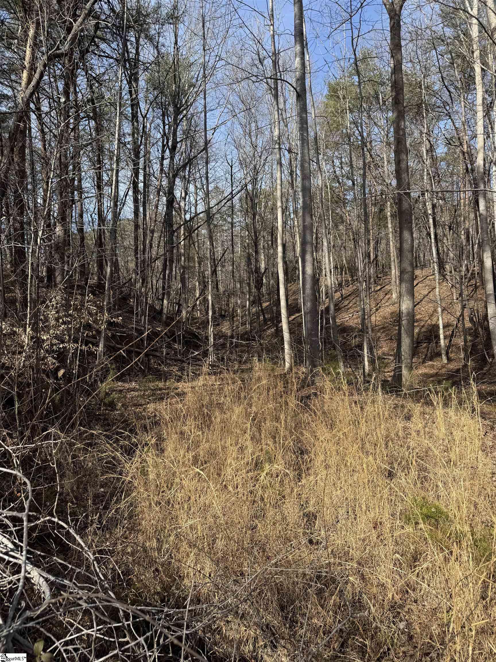 Butter Street Landrum, SC 29356 - Photo 1 of 19