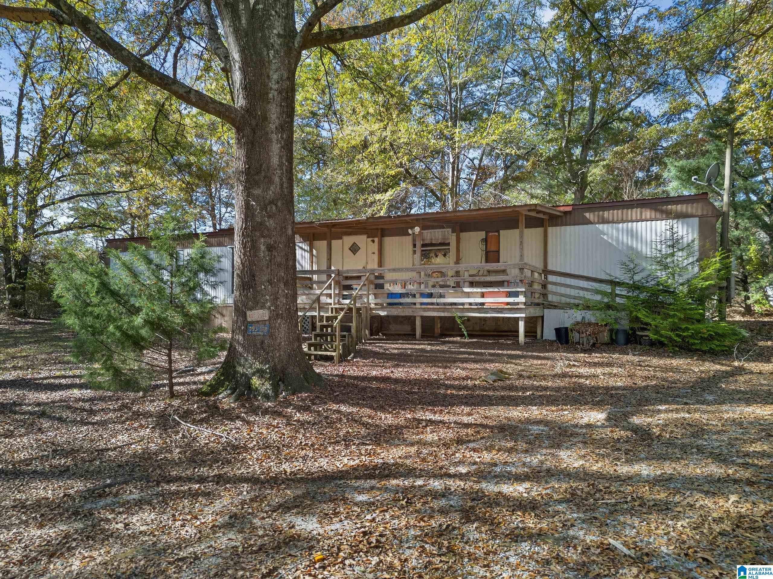 206 Pruitt Road Piedmont, AL 36272 - Photo 1 of 28