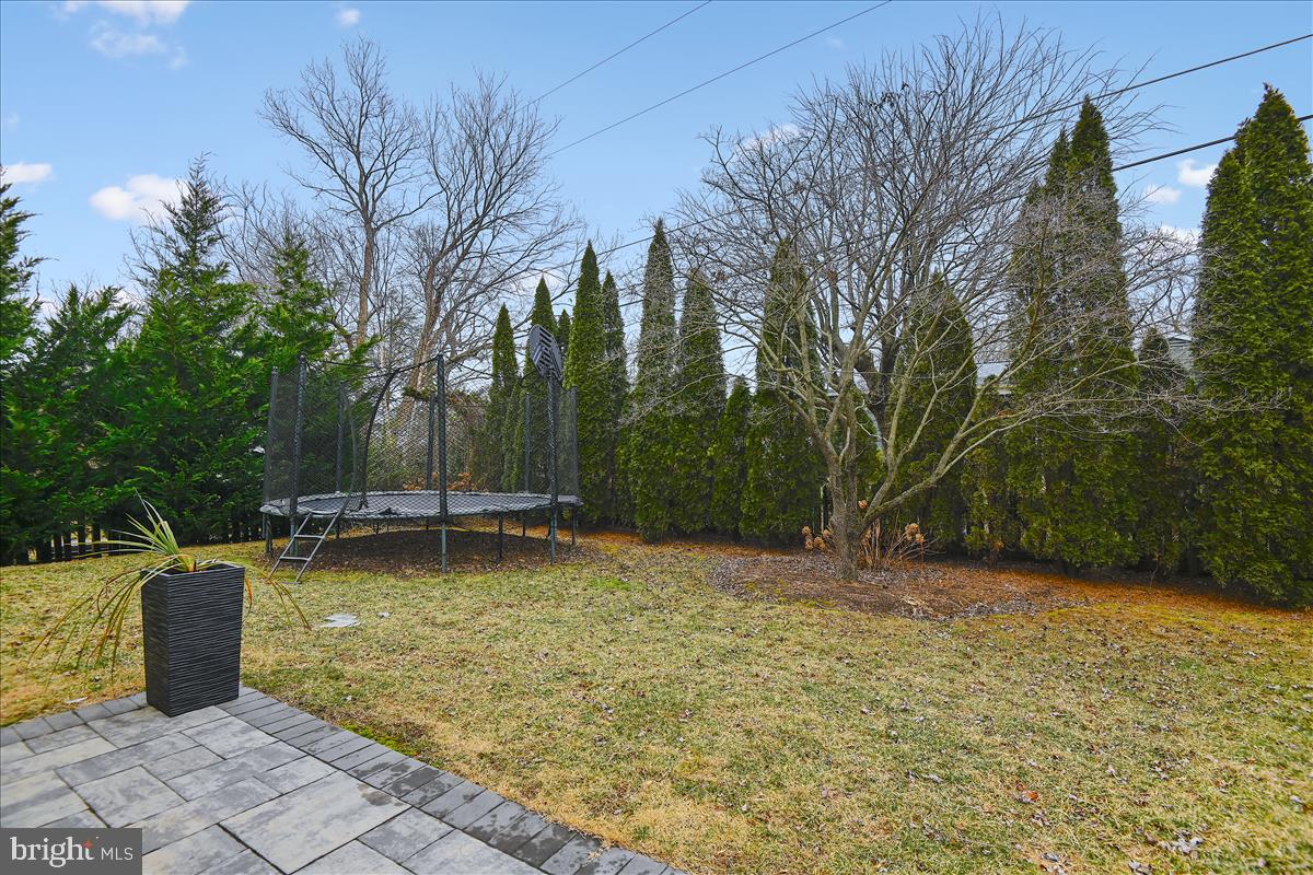 1805 Leadburn Road Baltimore, MD 21204 - Photo 69 of 79 View of yard