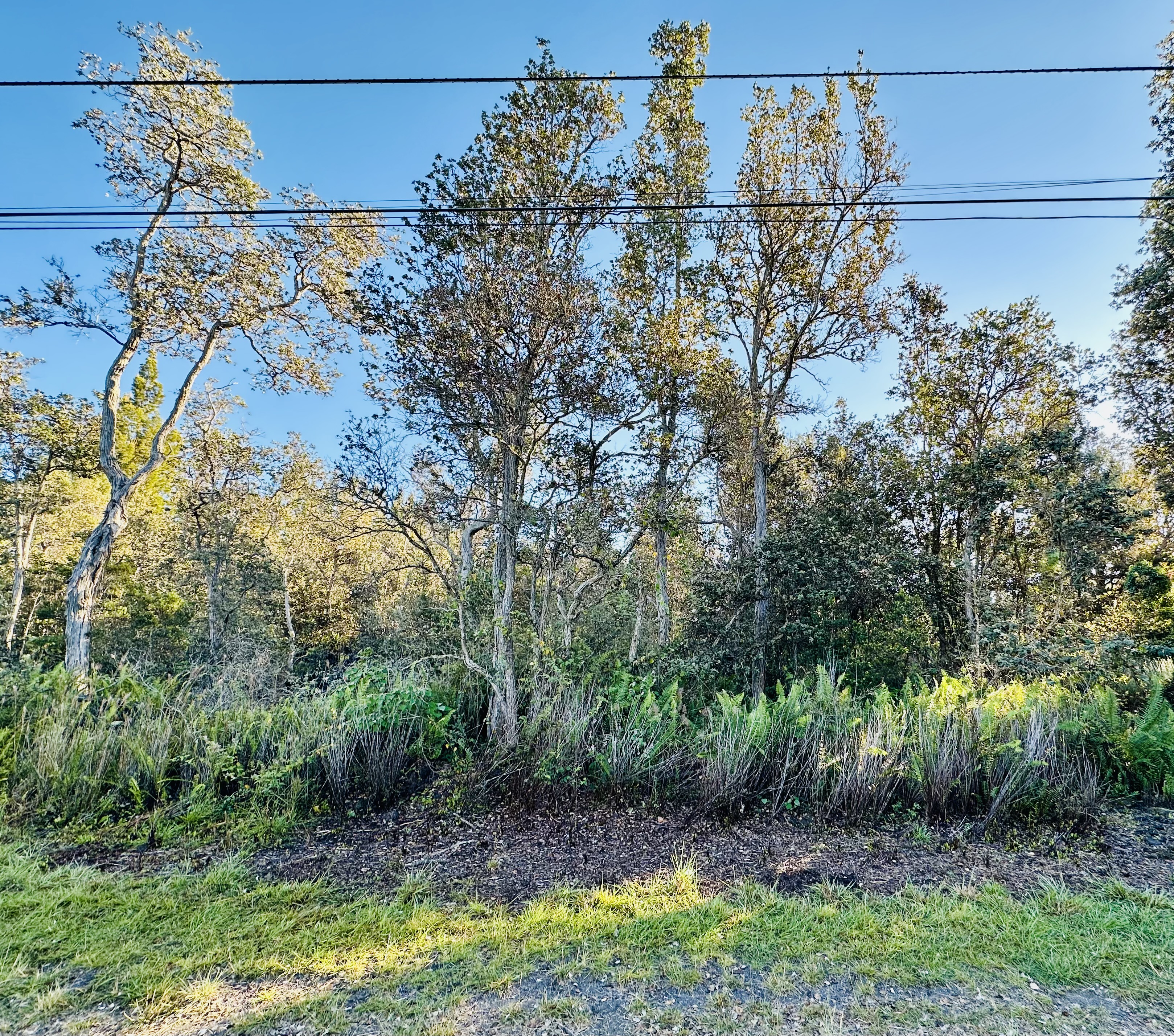 12 Lot Ocean View Ocean View, HI 96704 - Photo 2 of 8