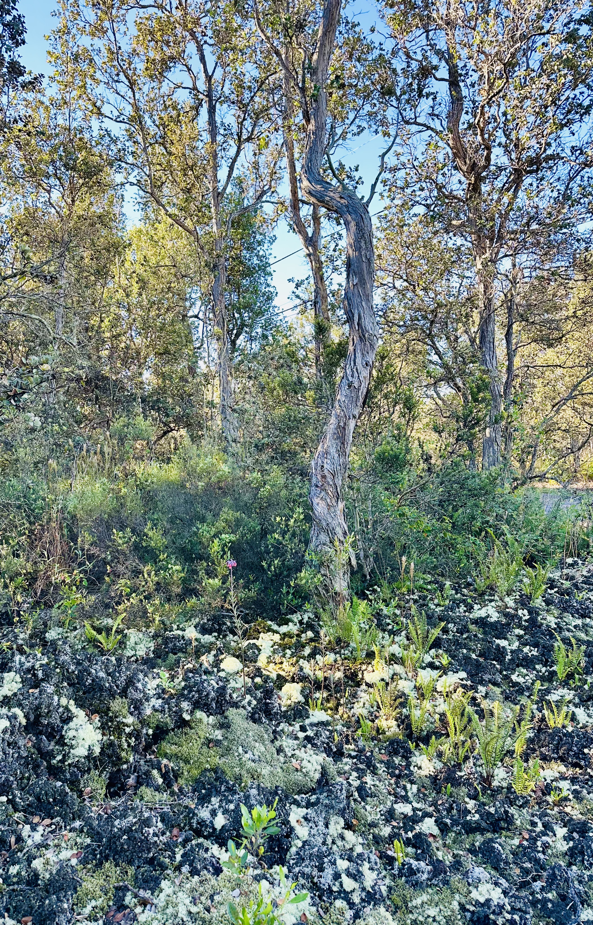 12 Lot Ocean View Ocean View, HI 96704 - Photo 3 of 8