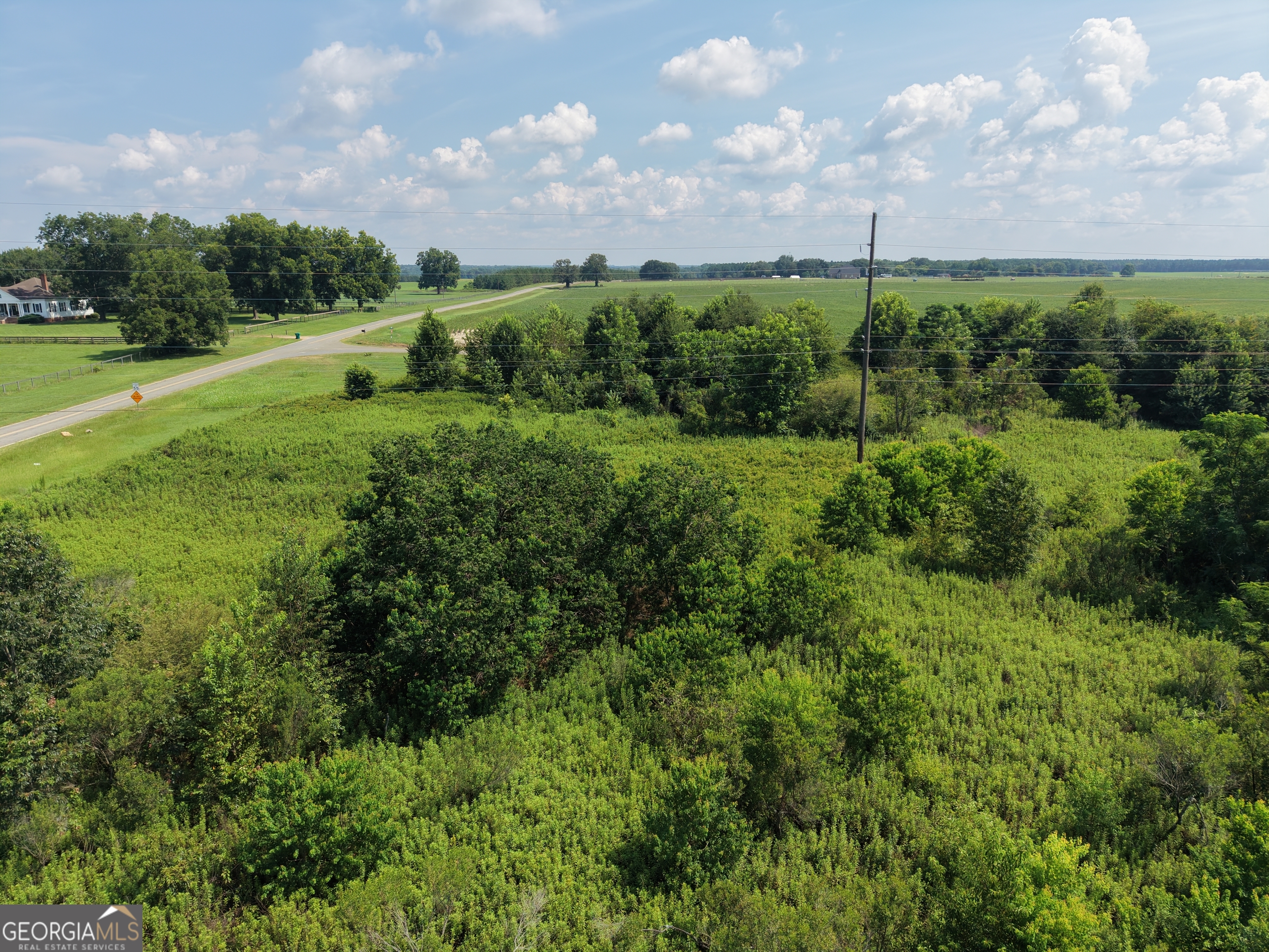 960 Elko Road Unadilla, GA 31091 - Photo 8 of 14