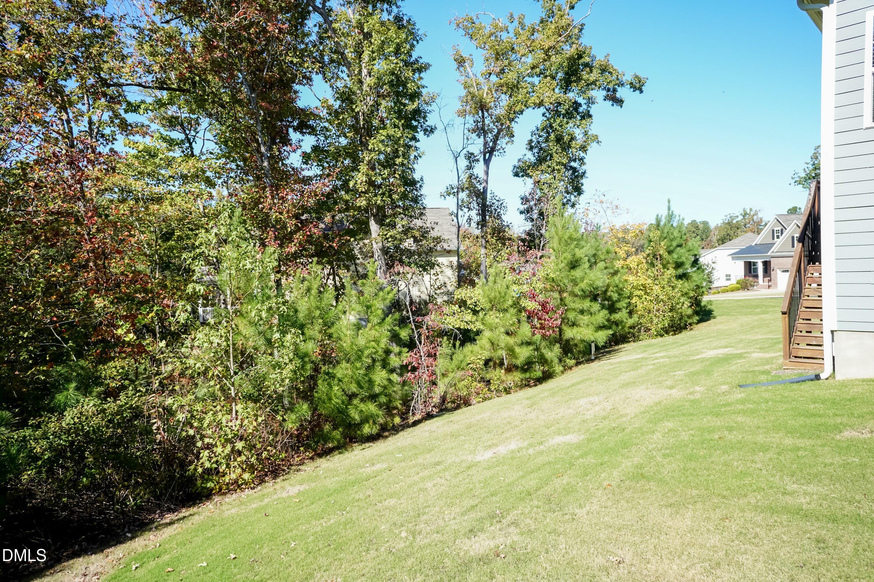 1009 Crescent Moon Court Durham, NC 27712 - Photo 7 of 57 a view of a yard with a tree
