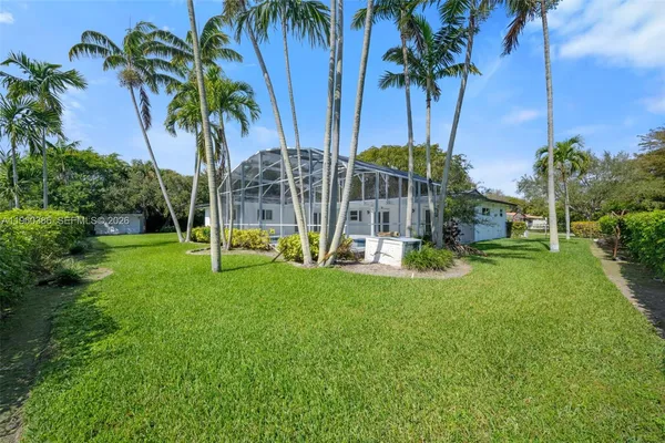 a view of a park with palm trees