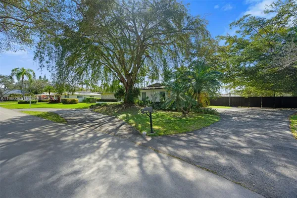 a view of a park with large trees