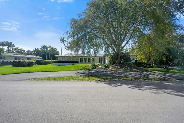 a view of a park with large trees