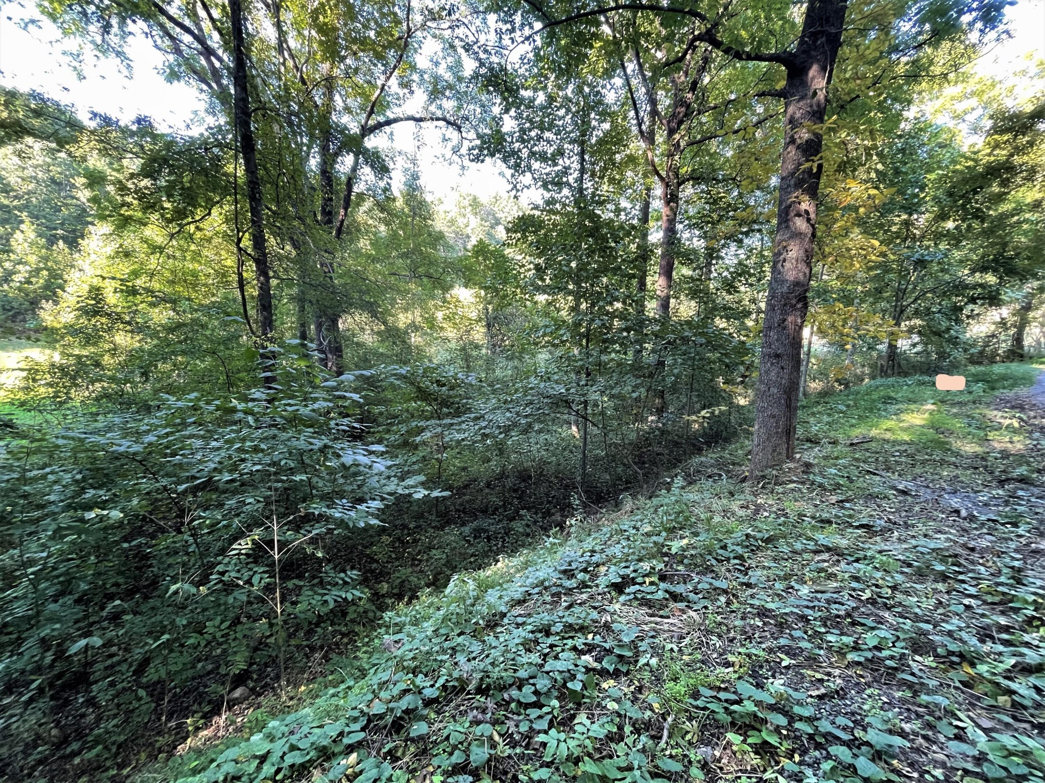 5 Sane Road Parrottsville, TN 37843 - Photo 7 of 9 Gallery Image 7