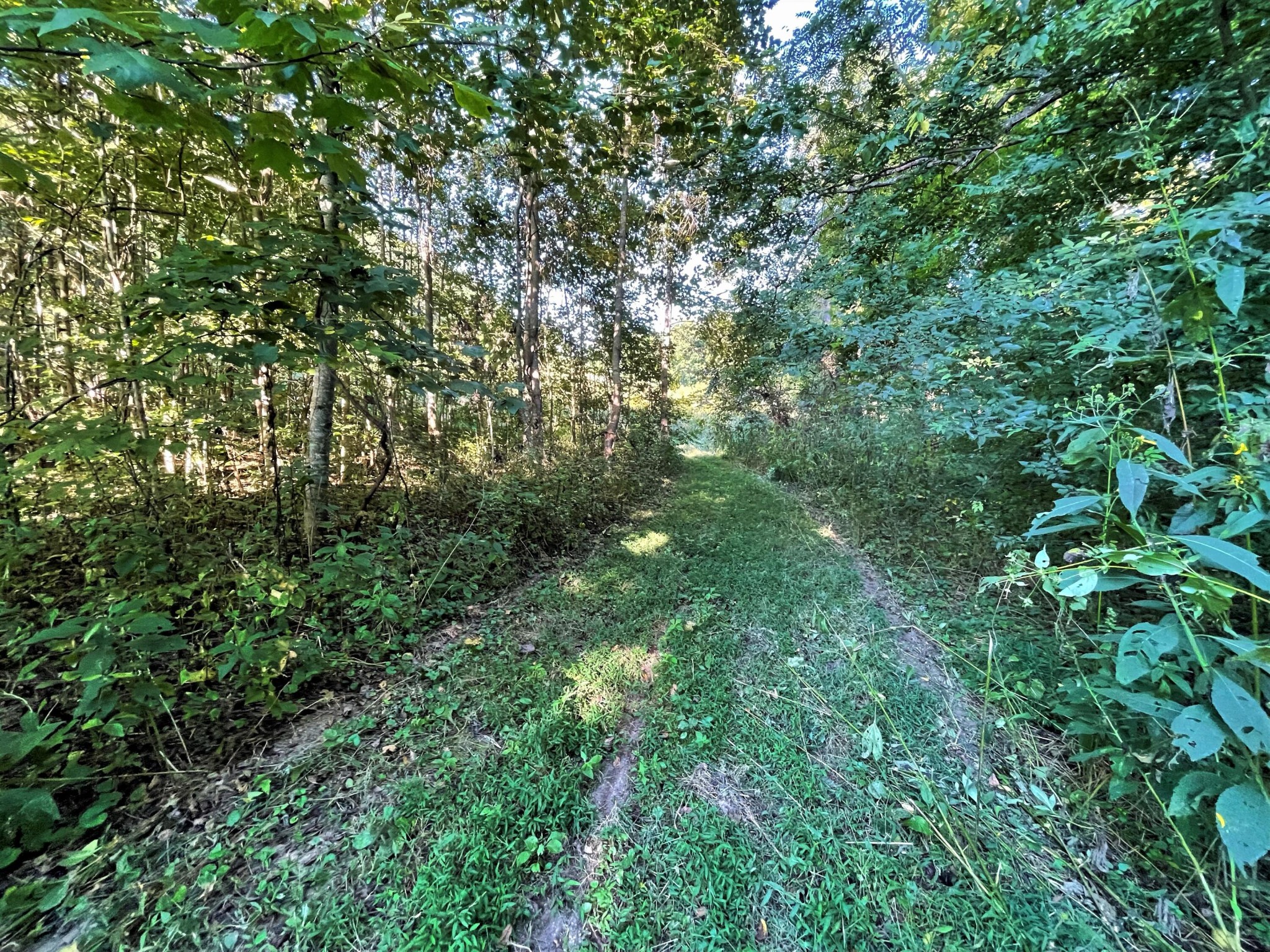 5 Sane Road Parrottsville, TN 37843 - Photo 8 of 9 Gallery Image 8