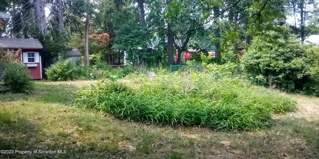 a view of a garden with plants