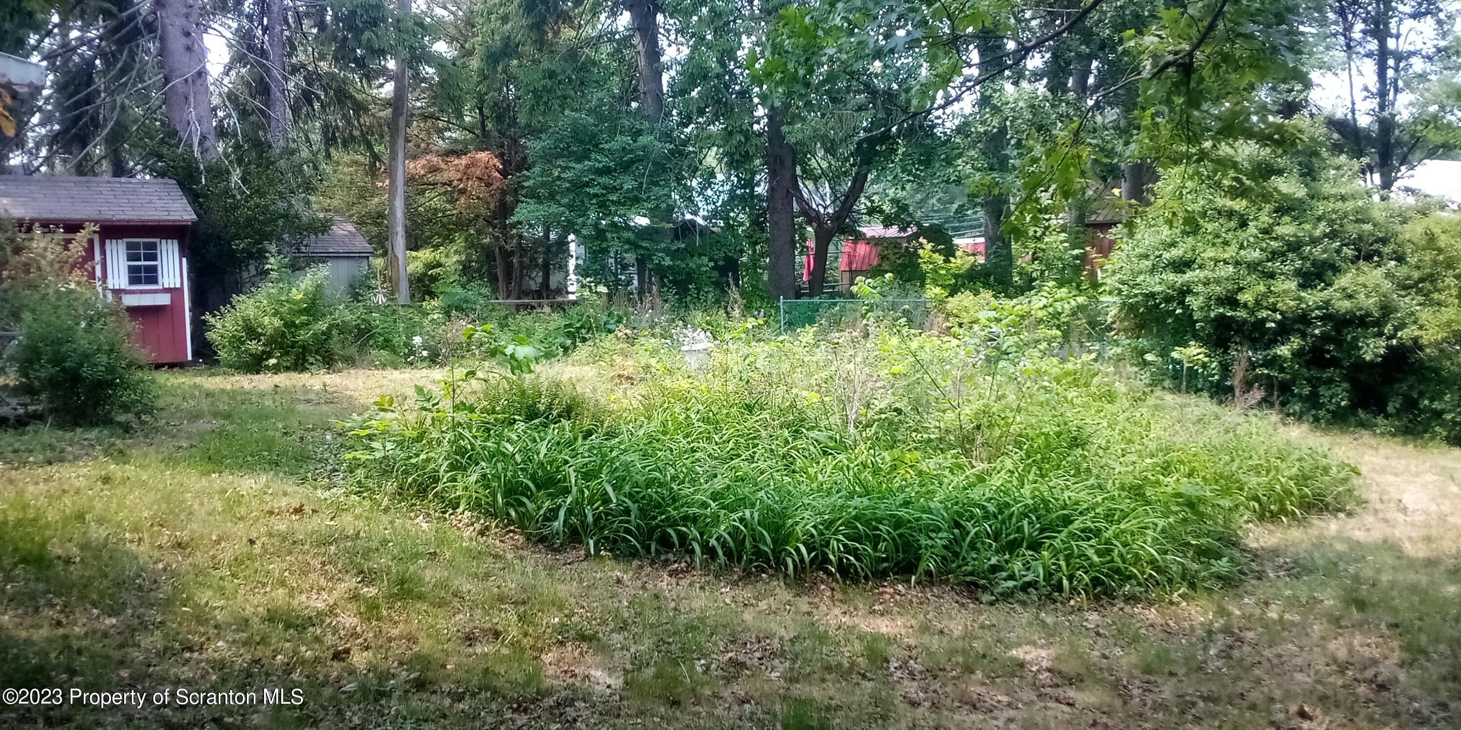 321 Maple Street Montrose, PA 18801 - Photo 6 of 28 a view of a garden with plants