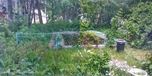 a view of a back yard