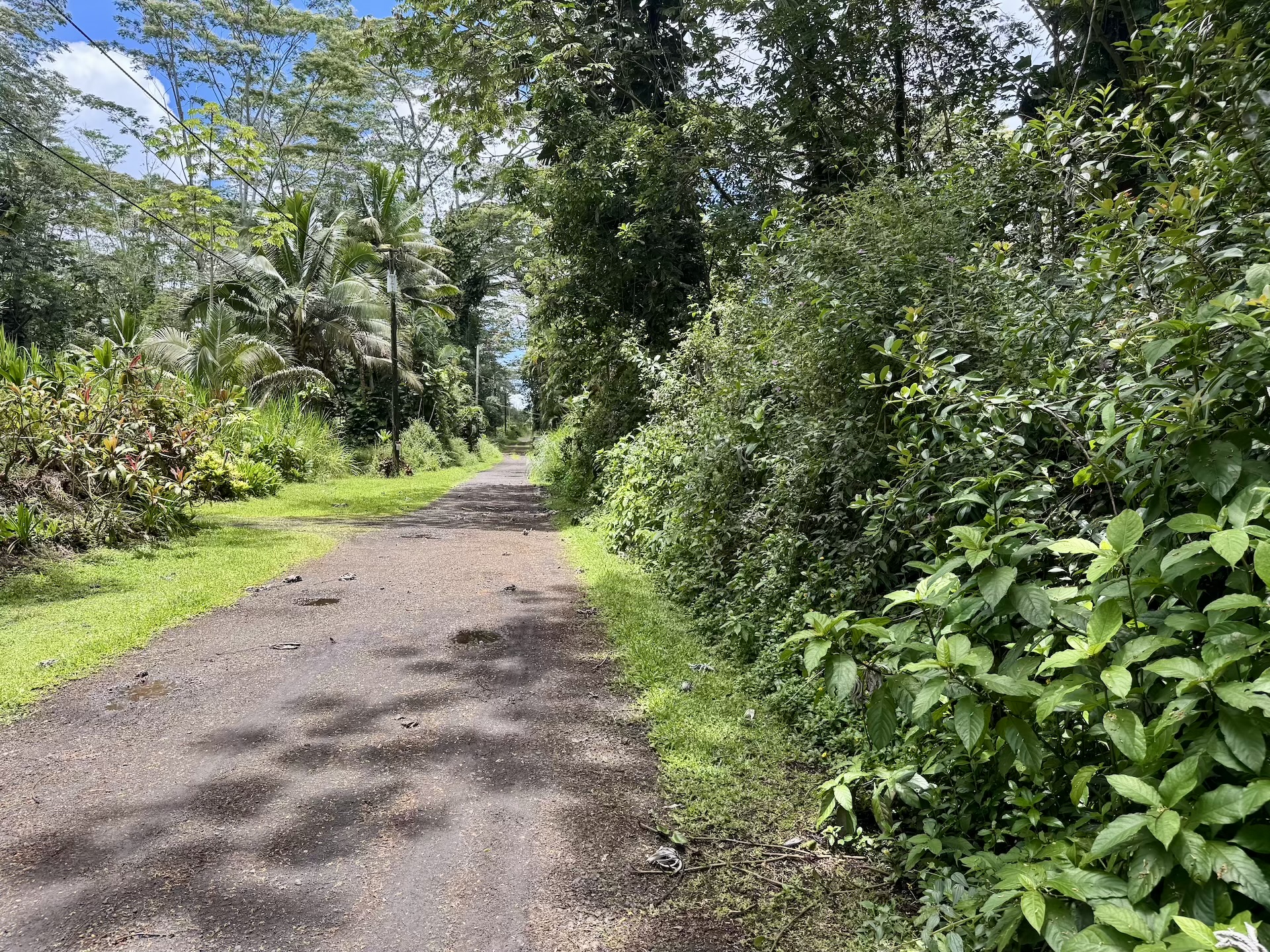 1043 Lanai Road Pahoa, HI 96778 - Photo 13 of 15