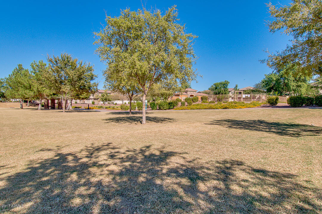 4907 East Silverbell Road San Tan Valley, AZ 85143 - Photo 42 of 49 48- Silberbell