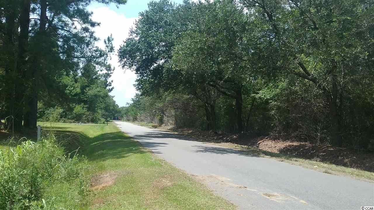 380 Micah Road Georgetown, SC 29440 - Photo 4 of 4 Gallery Image 4