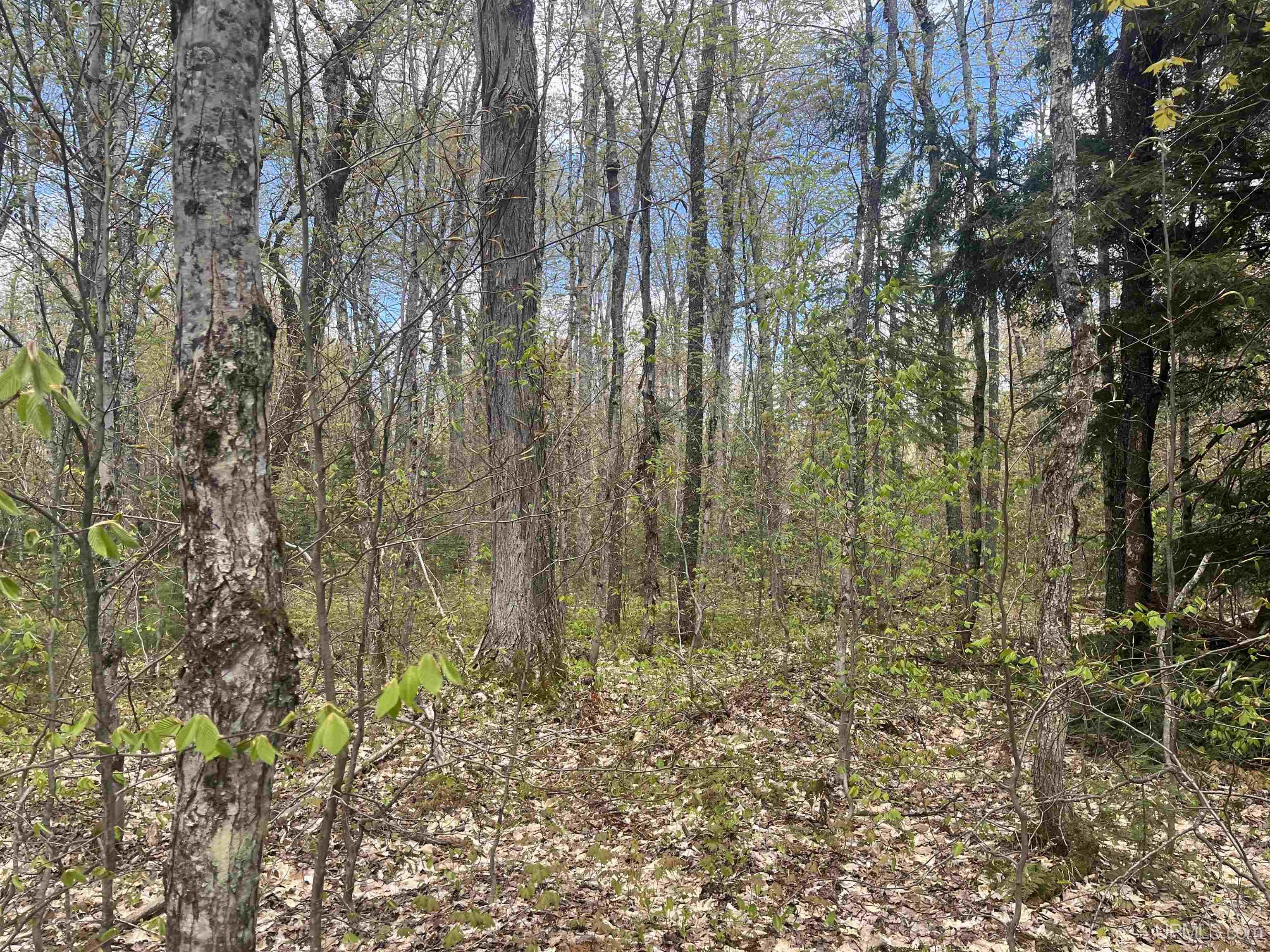 450 Rd Seney Mi 49883 Road Seney, MI 49883 - Photo 11 of 33