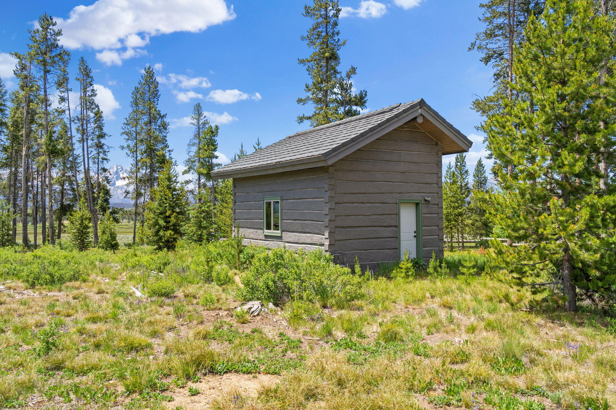 2425 Cow Camp Road Stanley, ID 83278 - Photo 45 of 47 Extra Garage Building