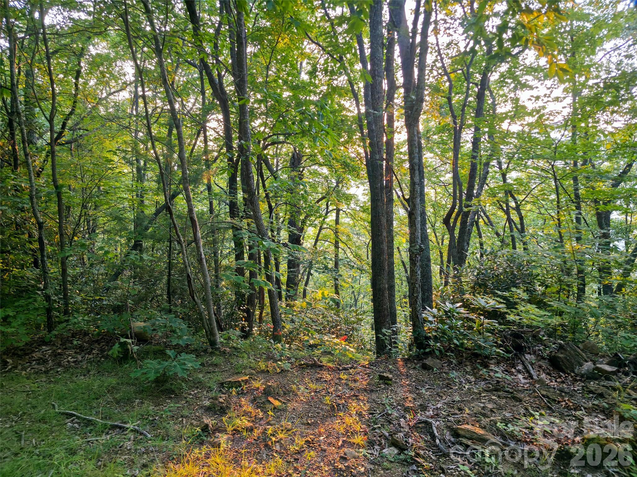 B1-b4 Anglers Ridge Waynesville, NC 28786 - Photo 12 of 21 Gallery Image 12