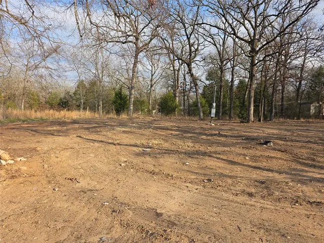 a view of dirt yard with trees