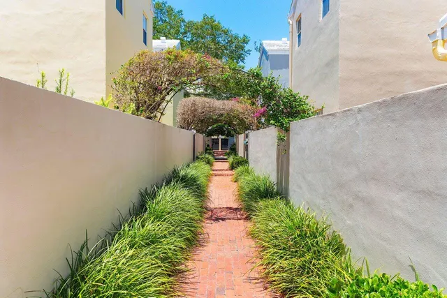 a view of a pathway with flower plants