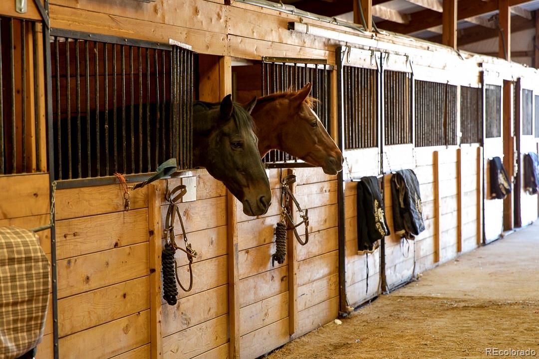 26794 Maul Road Elbert, CO 80106 - Photo 11 of 44 a view of street
