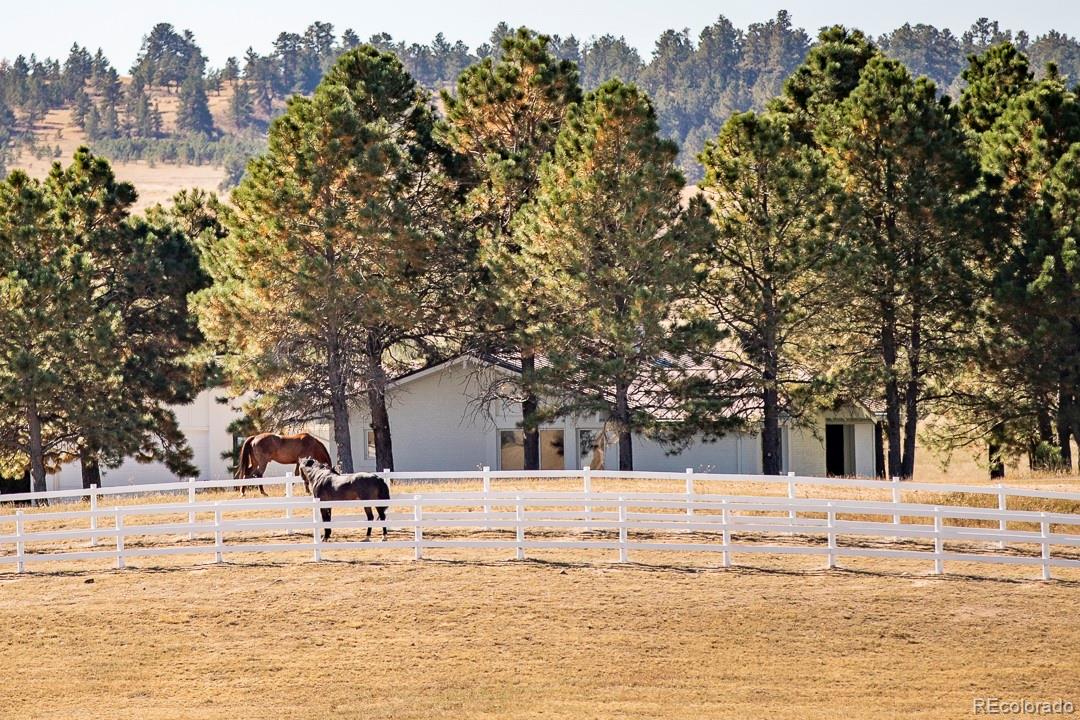 26794 Maul Road Elbert, CO 80106 - Photo 2 of 44 a view of a white house with a yard