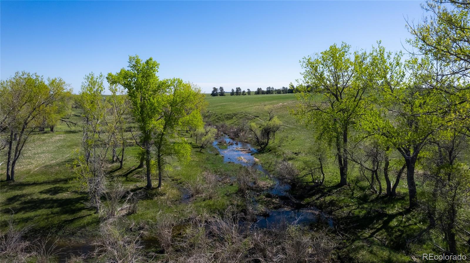 26794 Maul Road Elbert, CO 80106 - Photo 23 of 44 a view of a garden with trees in front of it