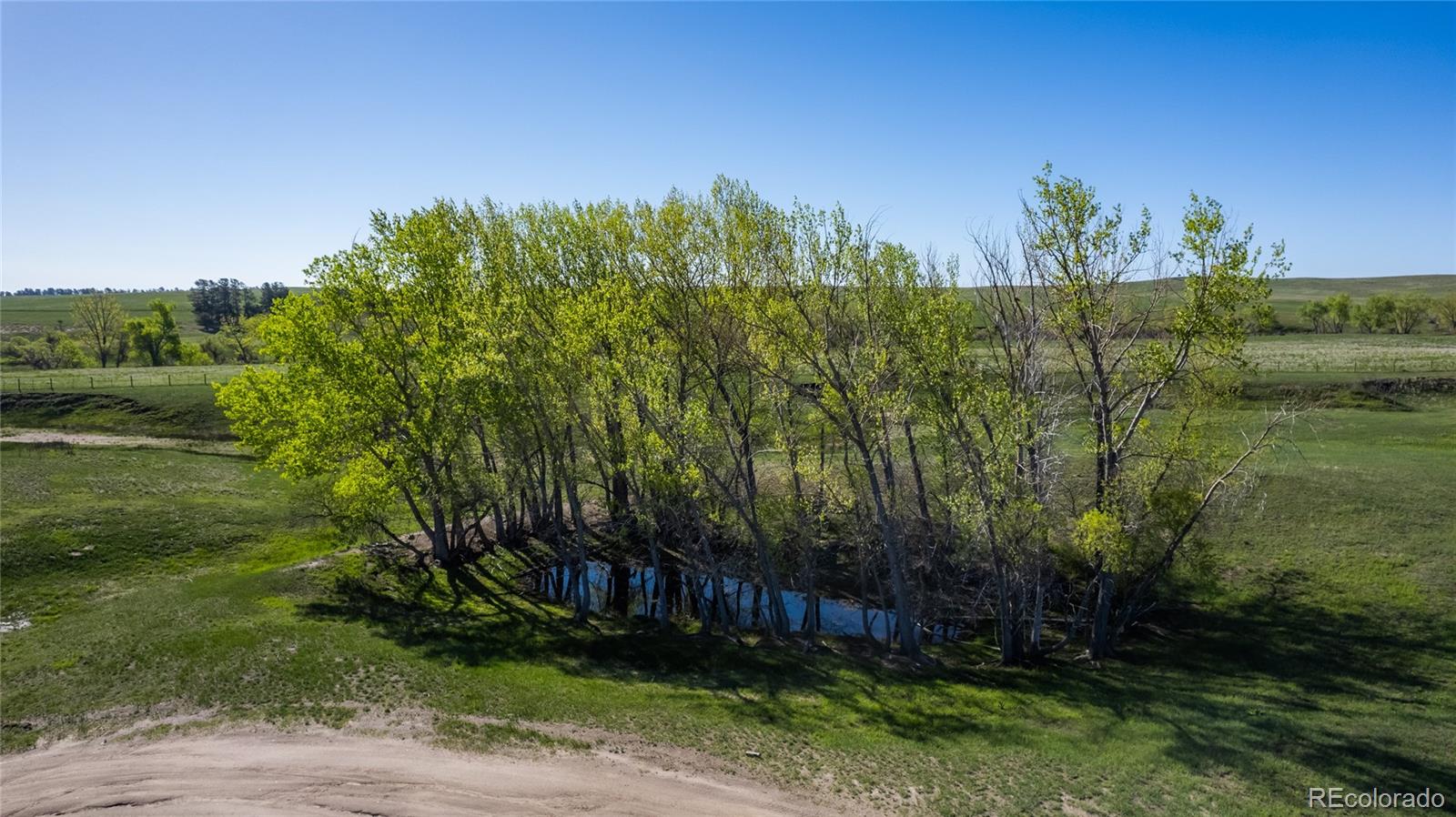 26794 Maul Road Elbert, CO 80106 - Photo 24 of 44 a view of a yard