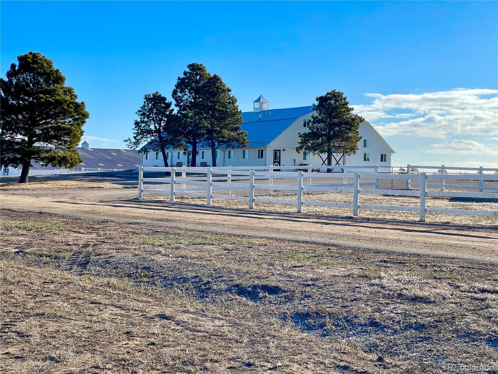 26794 Maul Road Elbert, CO 80106 - Photo 4 of 44 a view of a yard with large trees