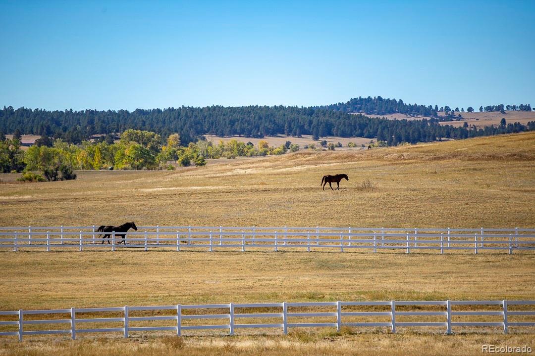 26794 Maul Road Elbert, CO 80106 - Photo 5 of 44 a view of an ocean and beach