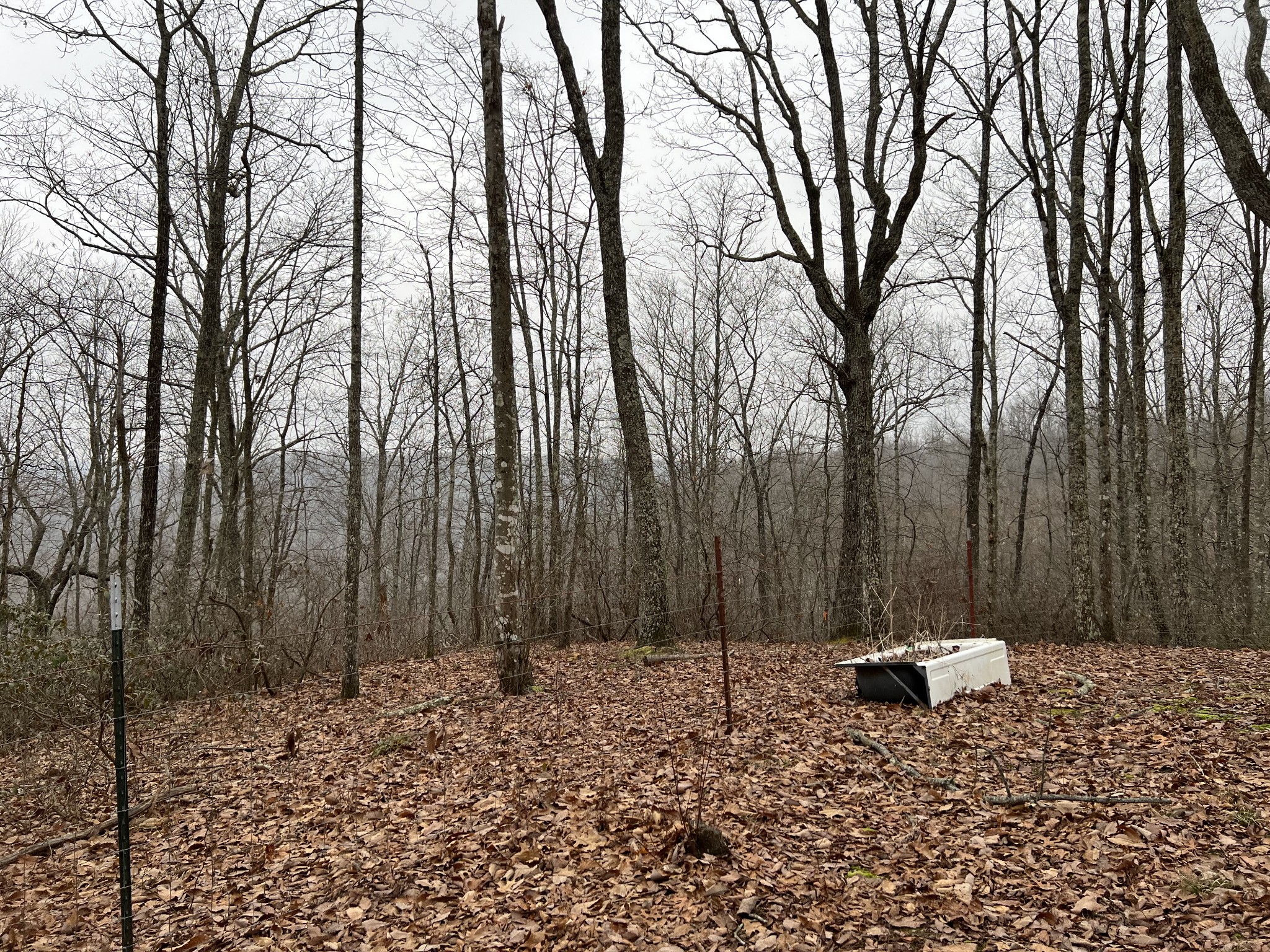 0 Wilson Ridge Road Jamestown, TN 38556 - Photo 15 of 34 Gallery Image 15