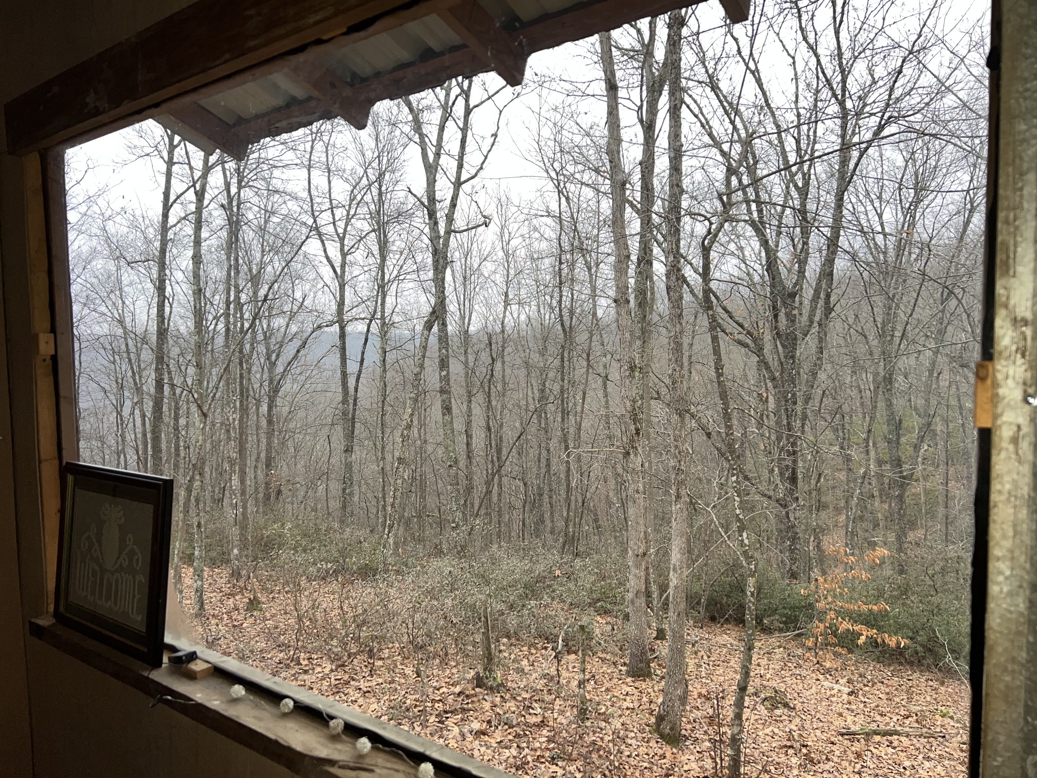 0 Wilson Ridge Road Jamestown, TN 38556 - Photo 24 of 34 Gallery Image 24