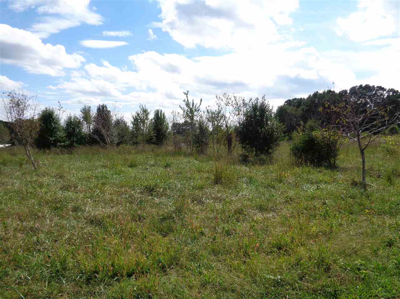 0 Reynolds Road Inman, SC 29349 - Photo 3 of 15