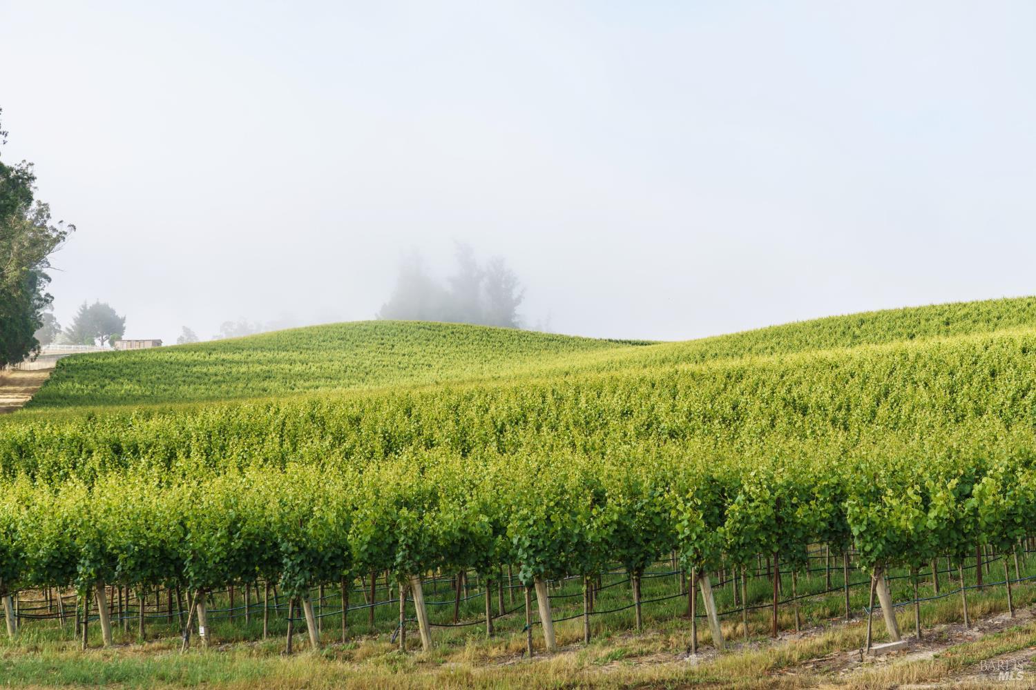 5215 Blank Road Sebastopol, CA 95472 - Photo 1 of 28