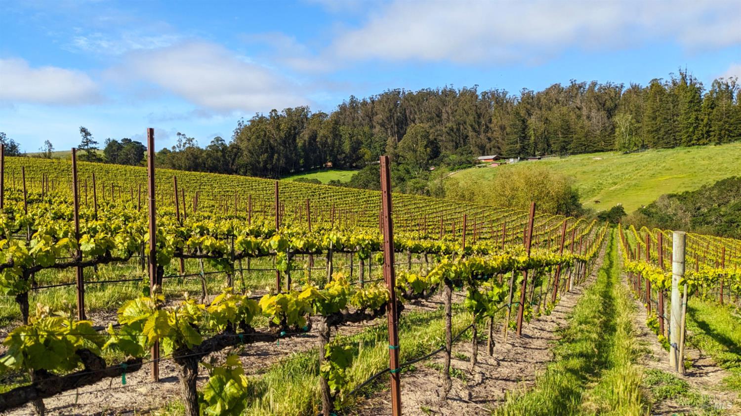 5215 Blank Road Sebastopol, CA 95472 - Photo 11 of 28