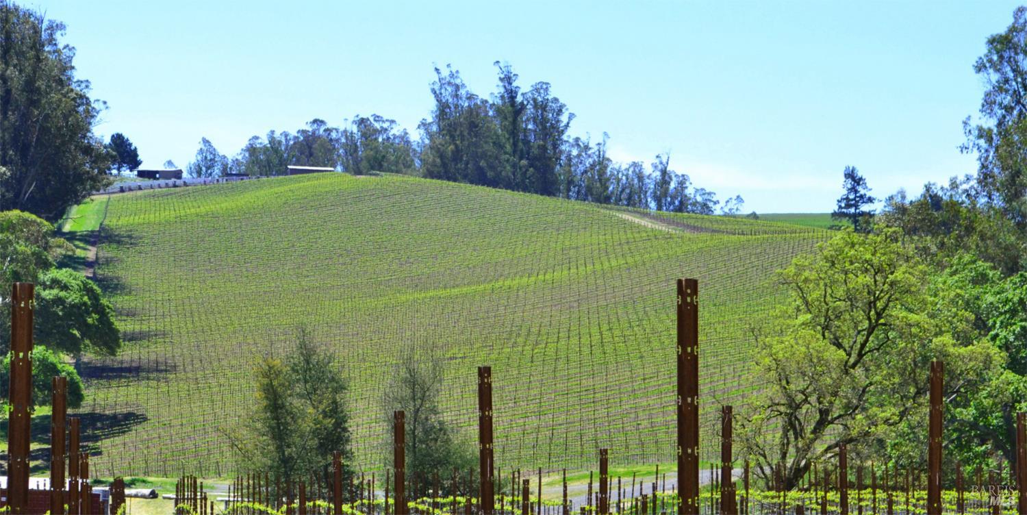 5215 Blank Road Sebastopol, CA 95472 - Photo 12 of 28