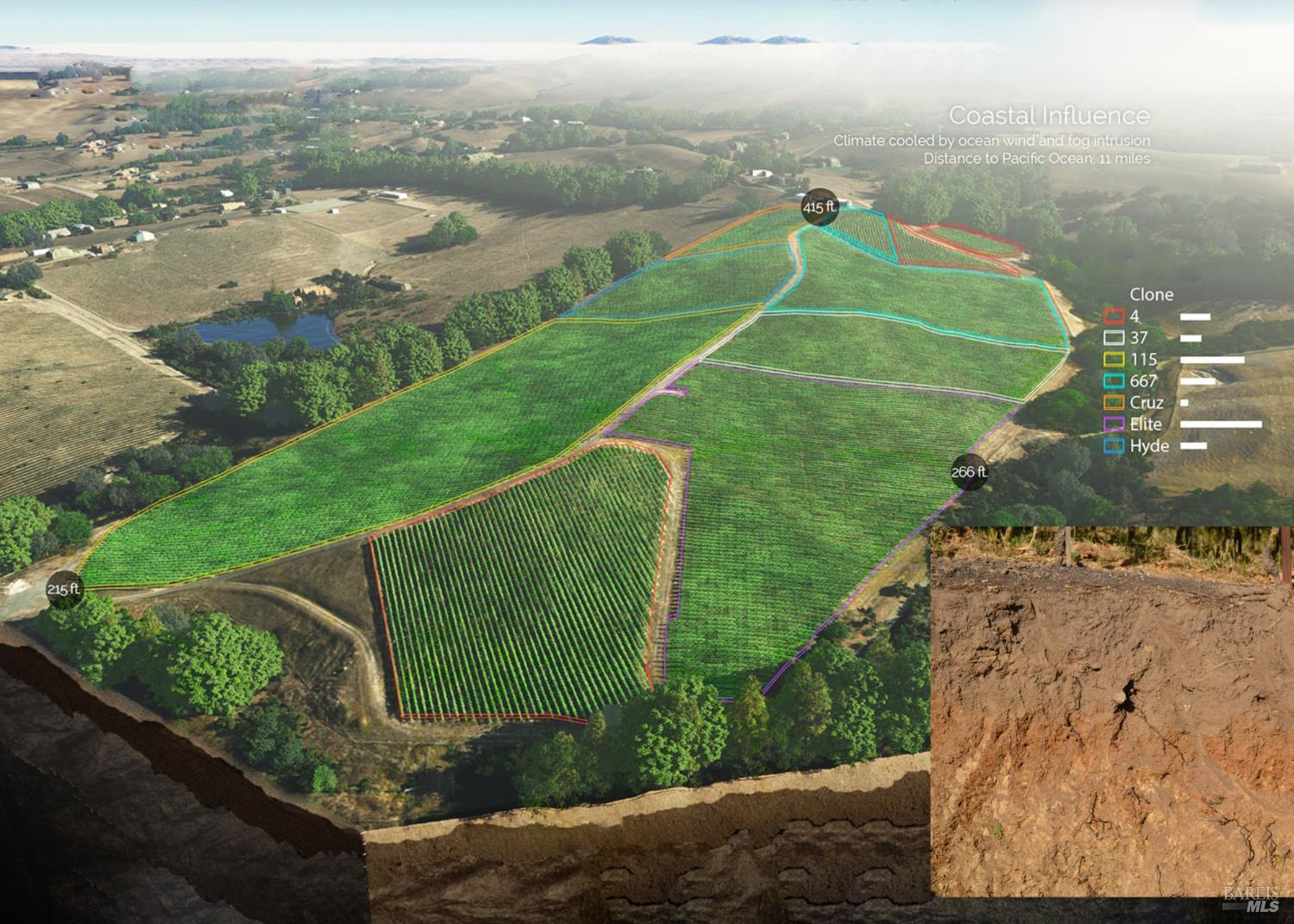 5215 Blank Road Sebastopol, CA 95472 - Photo 14 of 28