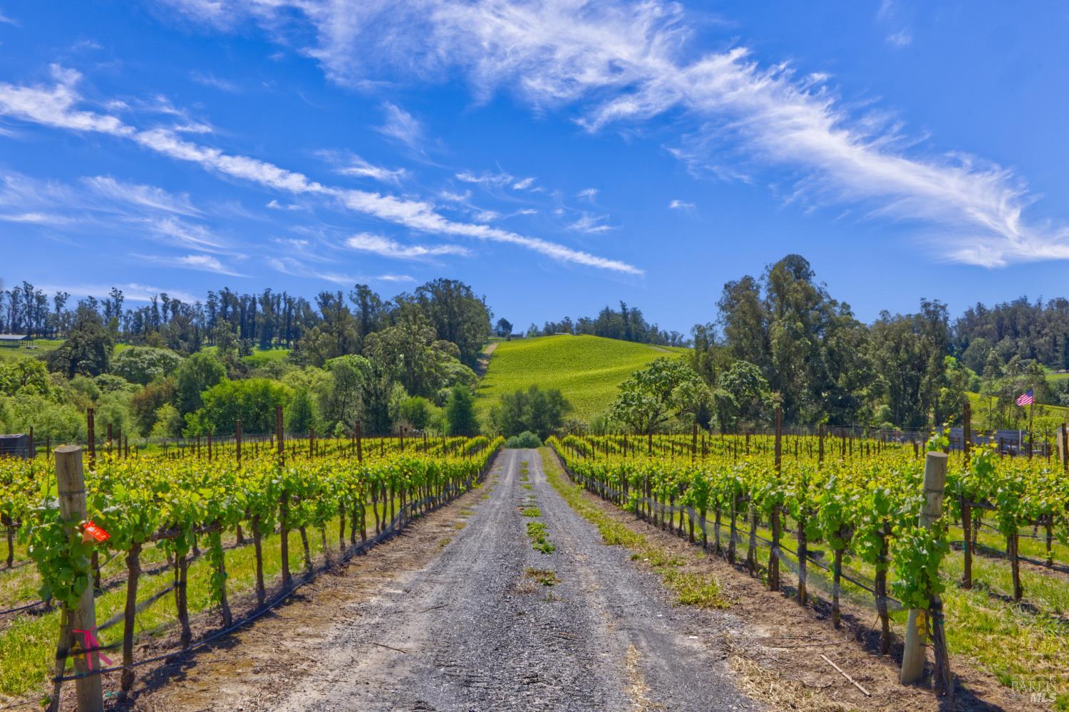 5215 Blank Road Sebastopol, CA 95472 - Photo 15 of 28