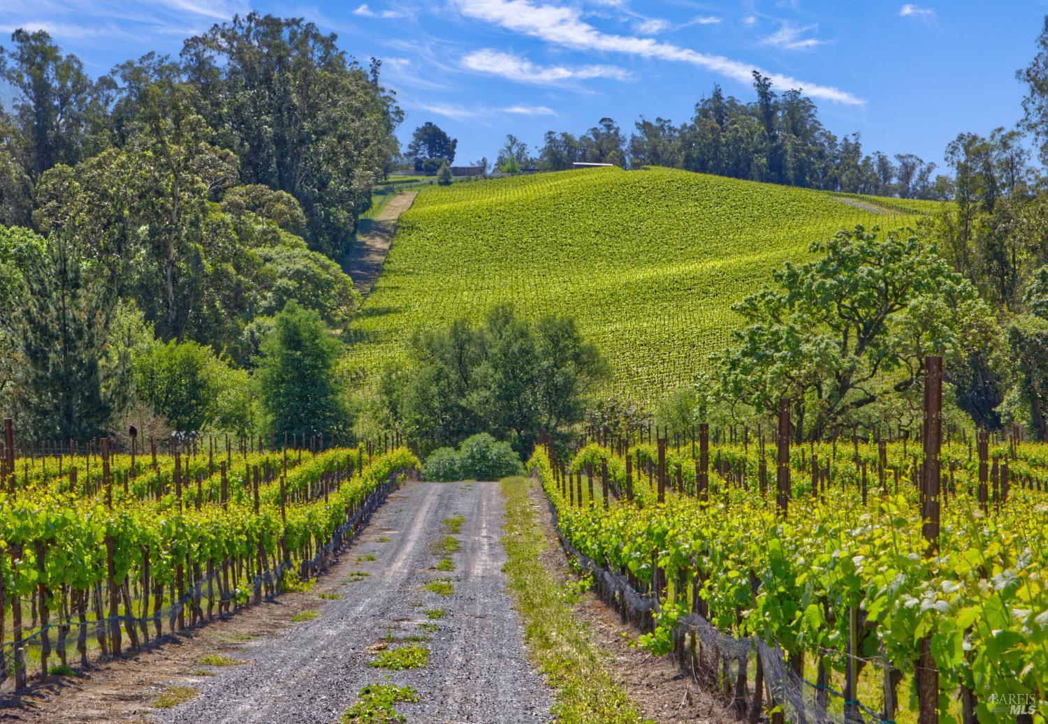 5215 Blank Road Sebastopol, CA 95472 - Photo 16 of 28