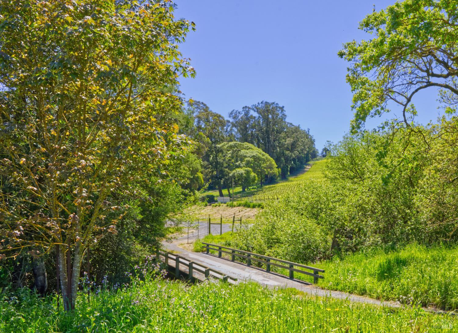 5215 Blank Road Sebastopol, CA 95472 - Photo 18 of 28