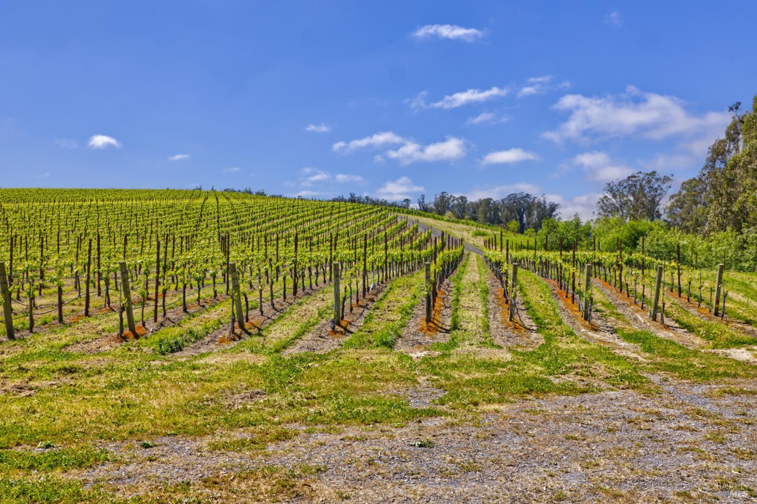 5215 Blank Road Sebastopol, CA 95472 - Photo 19 of 28