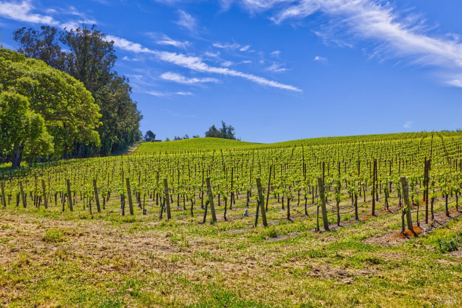 5215 Blank Road Sebastopol, CA 95472 - Photo 20 of 28