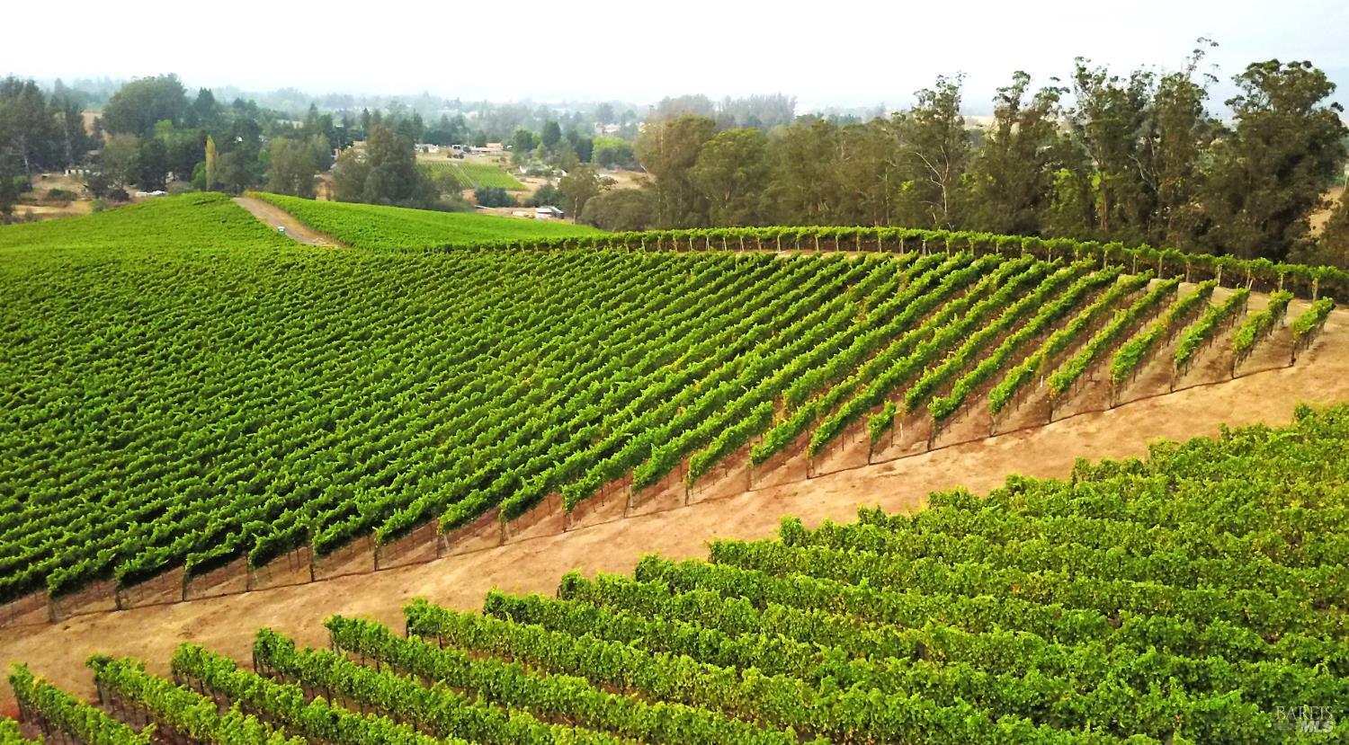 5215 Blank Road Sebastopol, CA 95472 - Photo 2 of 28