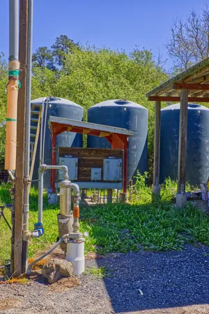 a view of a yard with an tree