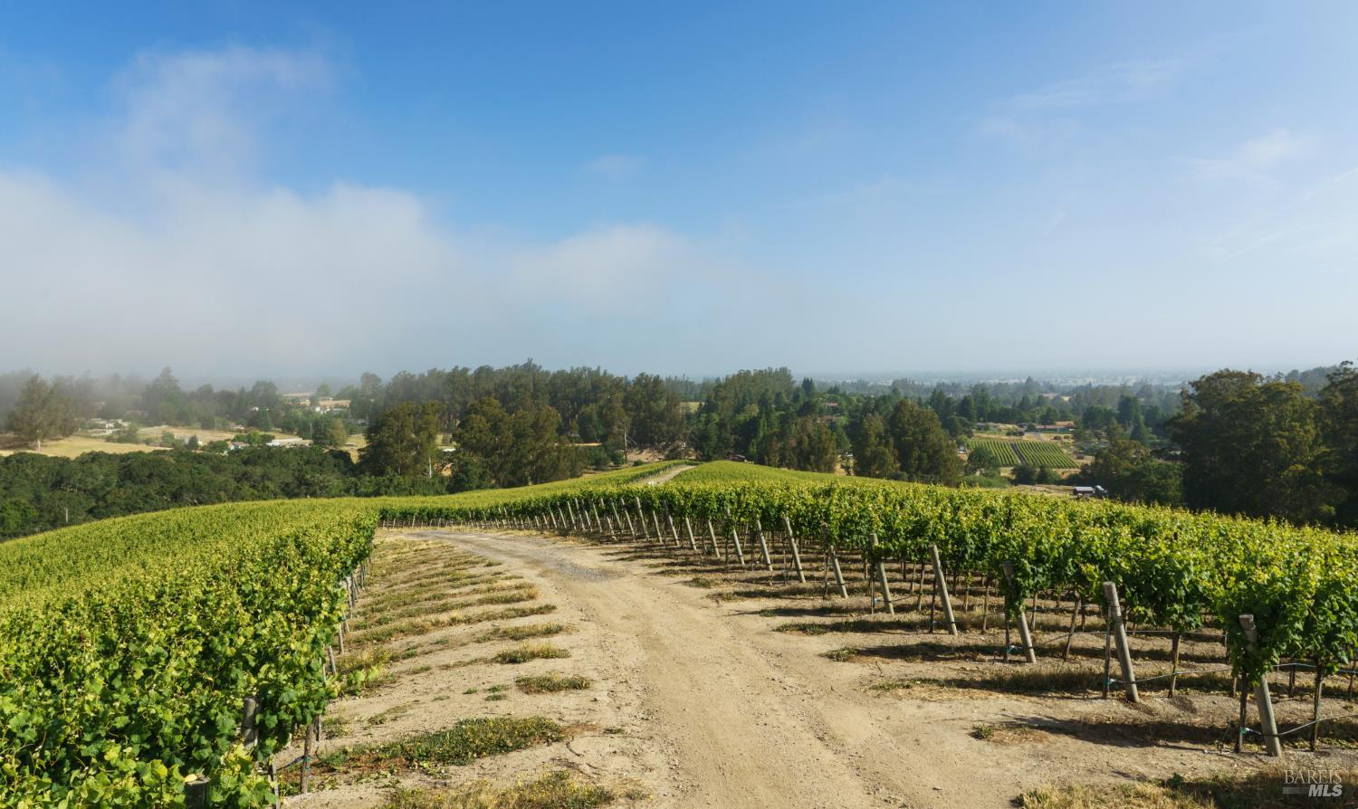 5215 Blank Road Sebastopol, CA 95472 - Photo 4 of 28