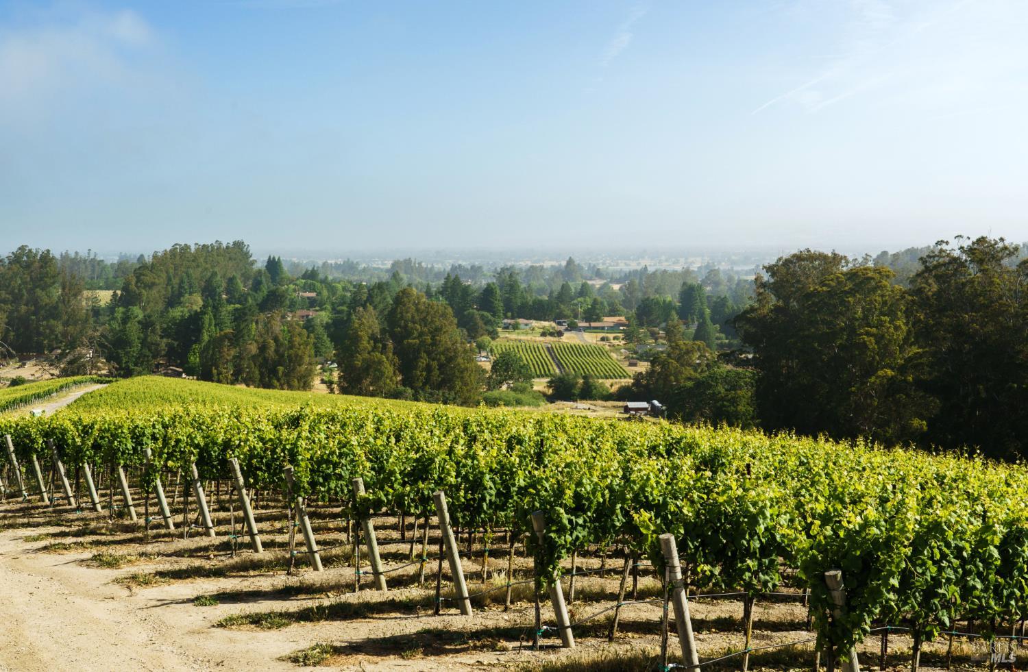 5215 Blank Road Sebastopol, CA 95472 - Photo 6 of 28