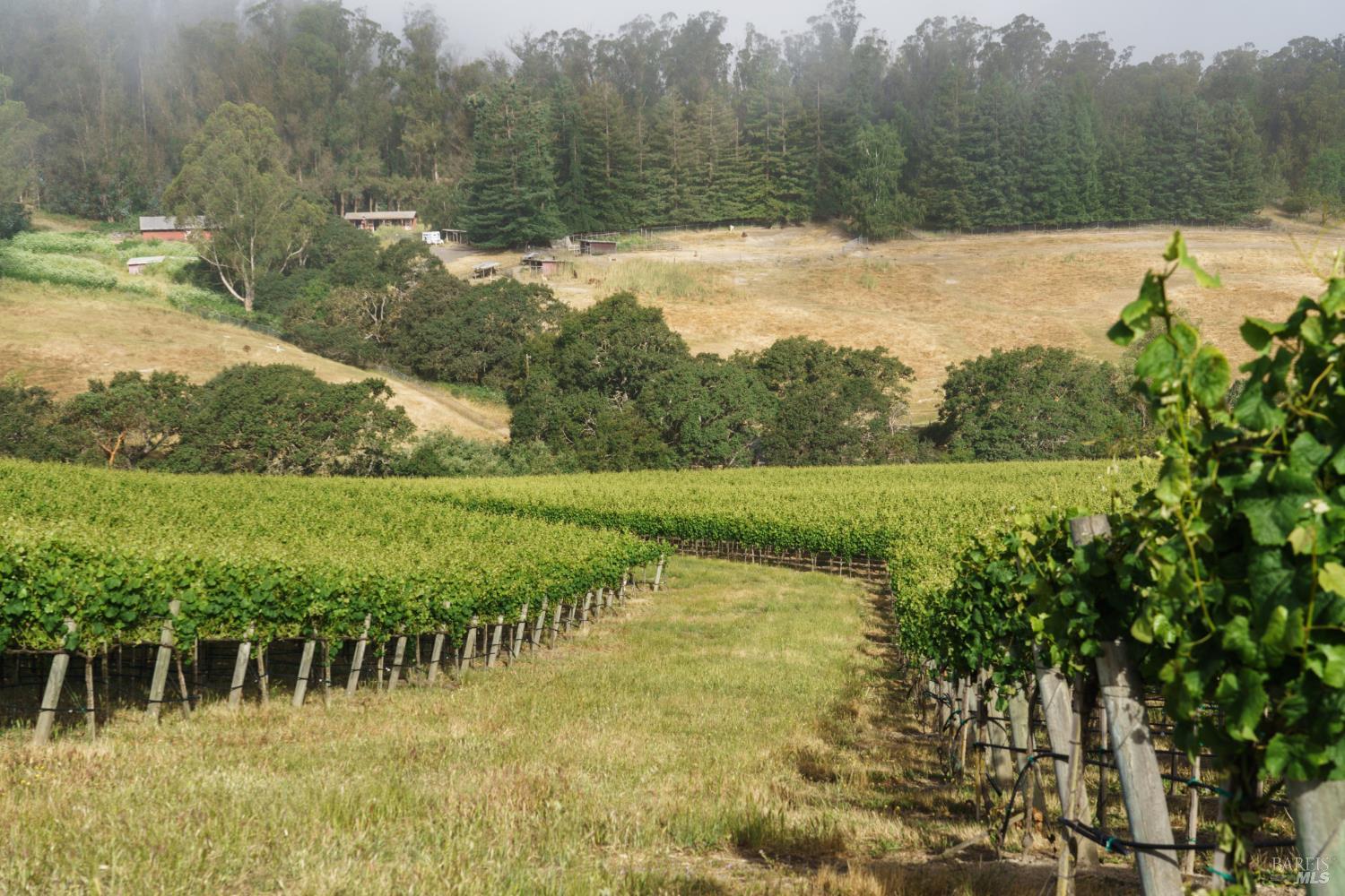 5215 Blank Road Sebastopol, CA 95472 - Photo 7 of 28