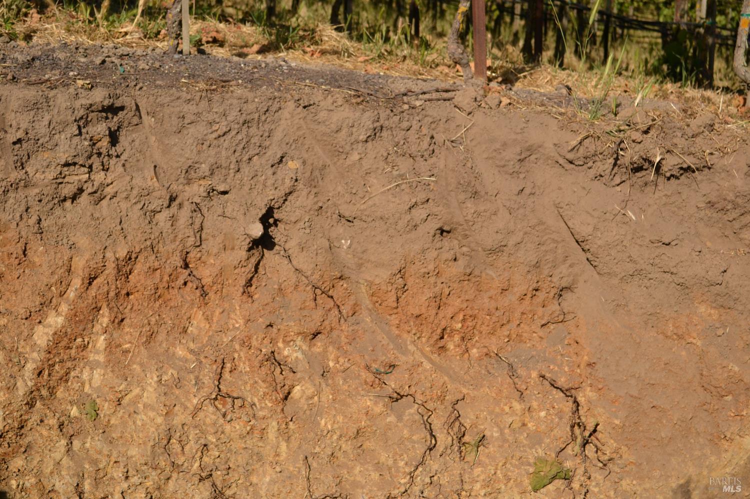 5215 Blank Road Sebastopol, CA 95472 - Photo 9 of 28