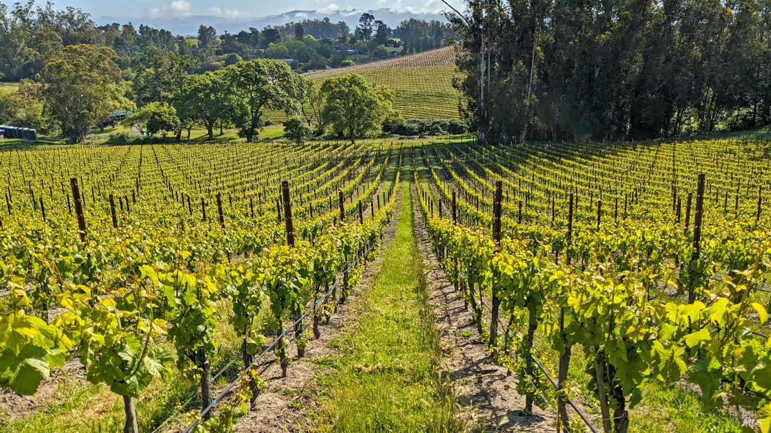 5215 Blank Road Sebastopol, CA 95472 - Photo 10 of 28