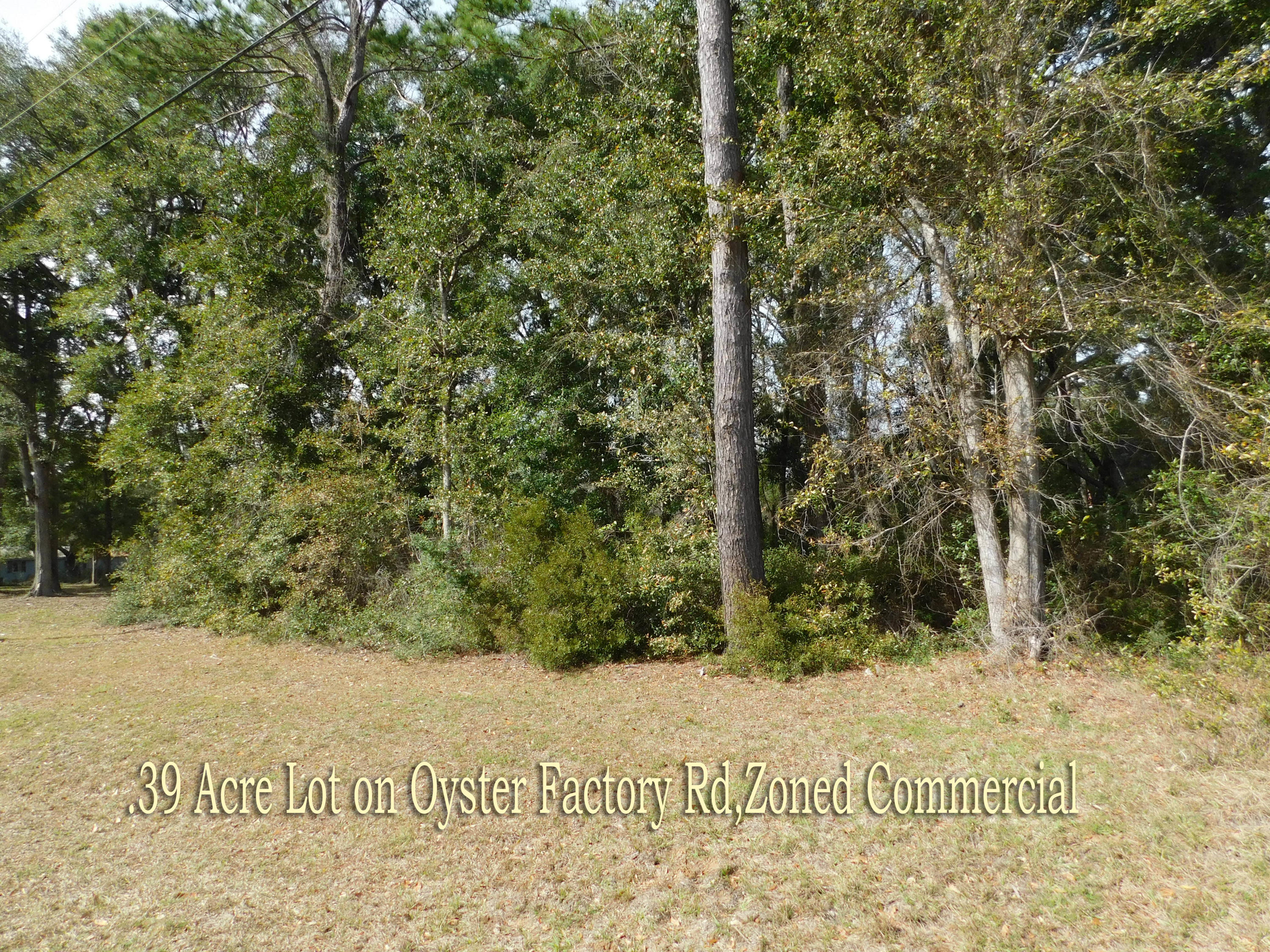 0 Oyster Factory Road Edisto Island, SC 29438 - Photo 1 of 8 DSCN0438